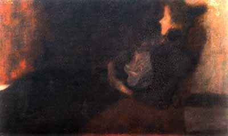 lady at the fireplace 1897-98 - vienna osterreichische galerie.jpg